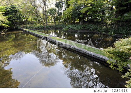 小石川後楽園 5282418