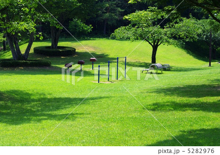 真夏の公園の芝生 公園の芝とベンチ 真夏の公園の芝生 公園の芝とベンチ 5282976