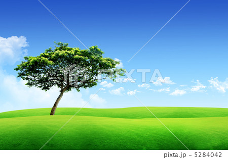 cep_jj_1411569 5284042