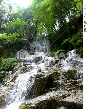岐阜県　来若（クジャク）の滝 The Fall names Kujaku in Gifu Prf. 5288450