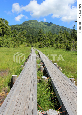 尾瀬沼にて 燧ヶ岳に続く木道 尾瀬沼にて 燧ヶ岳に続く木道 5288769