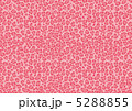 ヒョウ柄（ピンク） 5288855