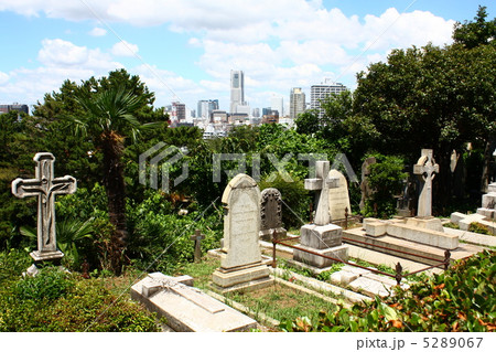 横浜外国人墓地 横浜外国人墓地 5289067