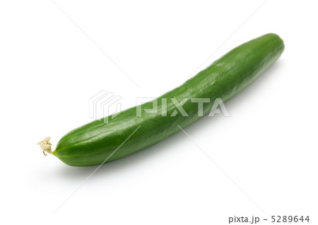 キュウリ 5289644