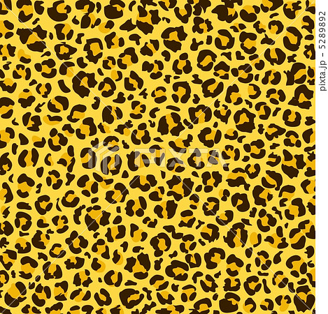 豹柄黄色のイラスト素材 [5289892] - PIXTA