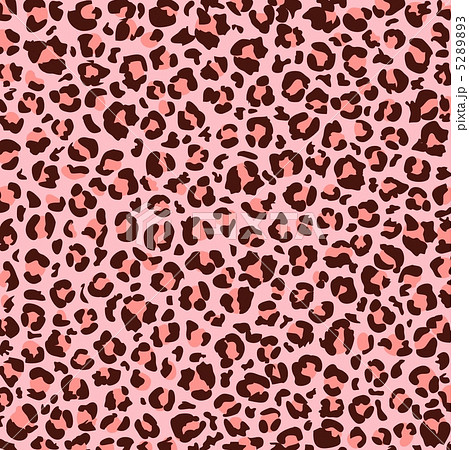 豹柄ピンクのイラスト素材 5289893 Pixta
