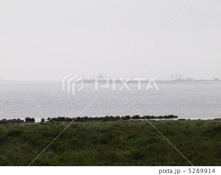 野付半島トドワラ 野付半島トドワラ 5289914