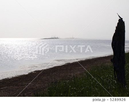夏の野付半島 夏の野付半島 5289926