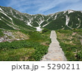 立山へ続く道 5290211