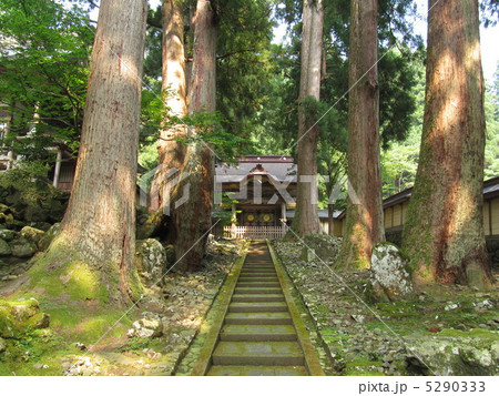 永平寺　唐門 5290333