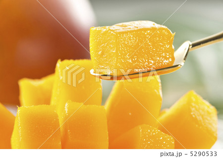 アップルマンゴー 5290533