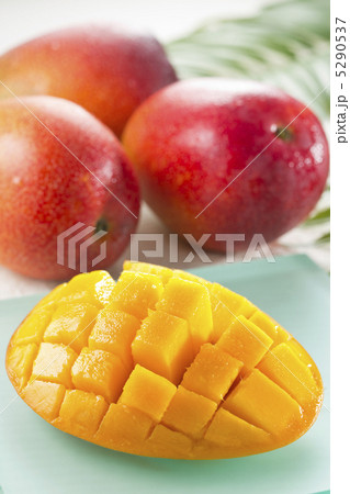 アップルマンゴー 5290537