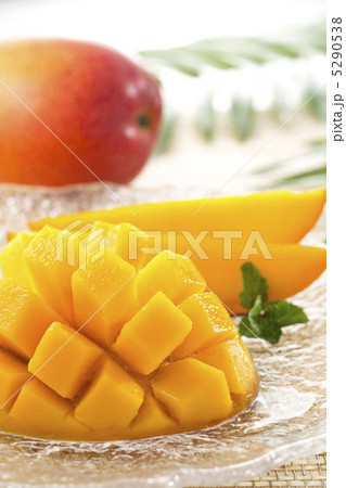アップルマンゴー 5290538