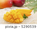 アップルマンゴー 5290539