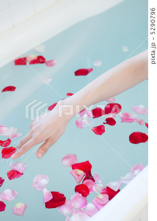 バラの花を浮かべる手 バラの花を浮かべる手 5290796