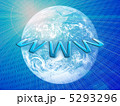 5293296