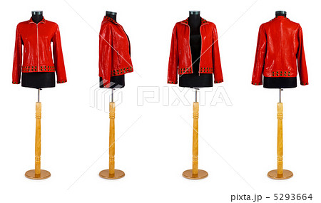 Stylish clothing isolated on the white background Stylish clothing isolated on the white background 5293664