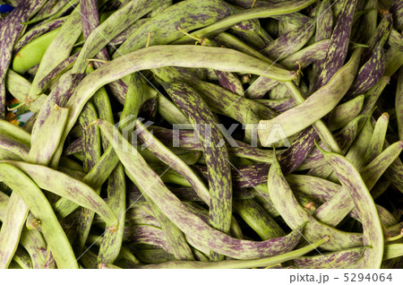 Lots of green pods at the background Lots of green pods at the background 5294064
