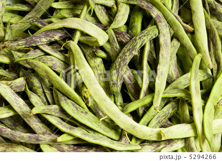 Lots of green pods at the background Lots of green pods at the background 5294266