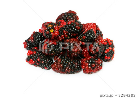 Many berries isolated on the white background Many berries isolated on the white background 5294285