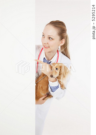 犬とホワイトボードと白衣を着た女性 5295214