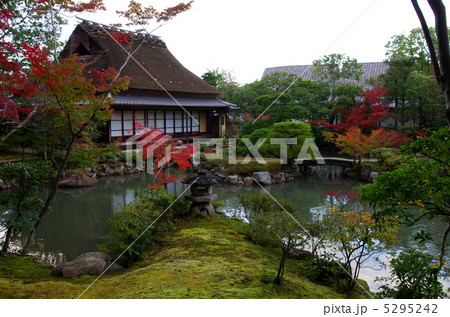 秋の依水園／日本庭園（奈良市） 5295242