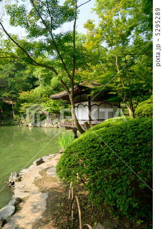紅葉渓庭園　 5295289