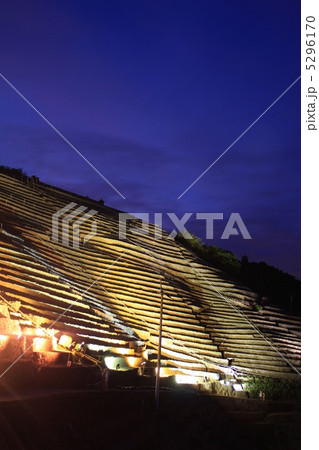 遊子のだんだん畑 5296170