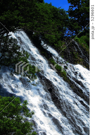 オシンコシンの滝 5296601