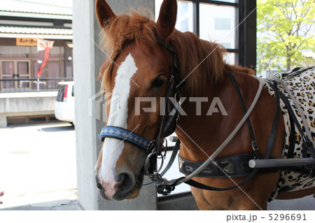 馬車 馬車 5296691