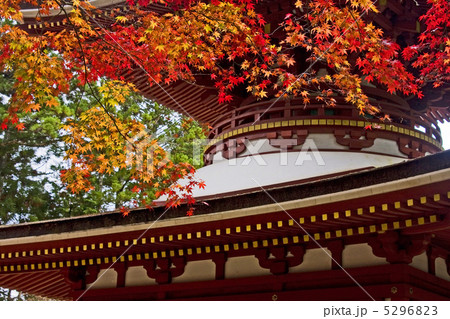 高野山の紅葉 高野山の紅葉 5296823