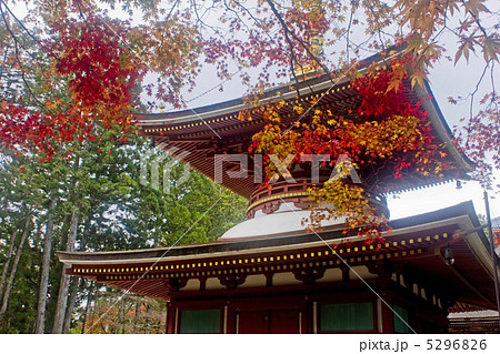 高野山の紅葉 高野山の紅葉 5296826