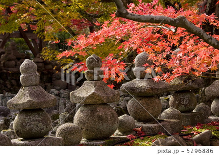 化野念仏寺の紅葉 5296886