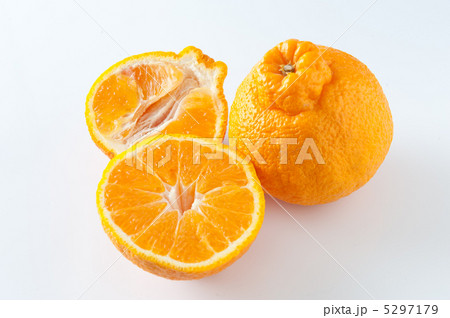 デコポン デコポン 5297179