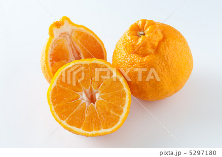 デコポン デコポン 5297180