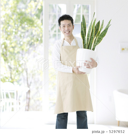 鉢植えを持って立つ男性 鉢植えを持って立つ男性 5297652
