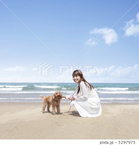 海辺で犬を触る女性の写真素材