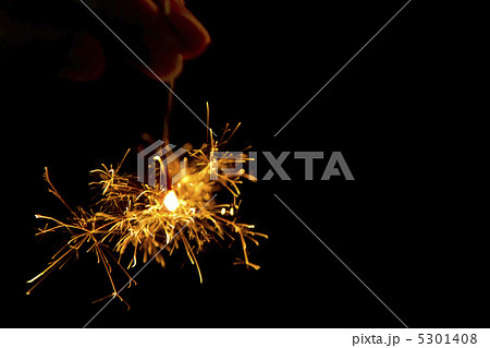 線香花火 線香花火 5301408