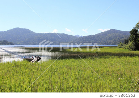 尾瀬沼にて 沼尻の風景 尾瀬沼にて 沼尻の風景 5301552
