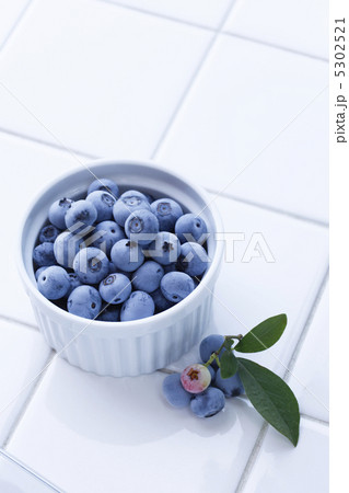 ブルーベリー 5302521
