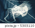 文様 5303110