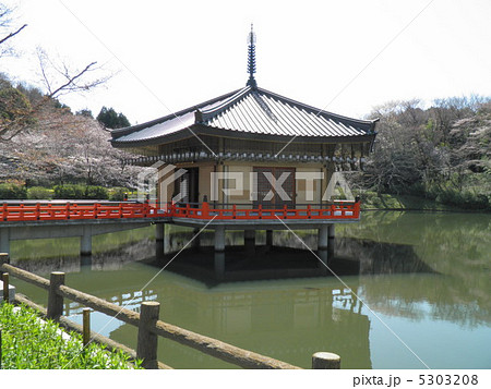 安部文殊院 仲麻呂堂 金閣浮御堂 安部文殊院 仲麻呂堂 金閣浮御堂 5303208