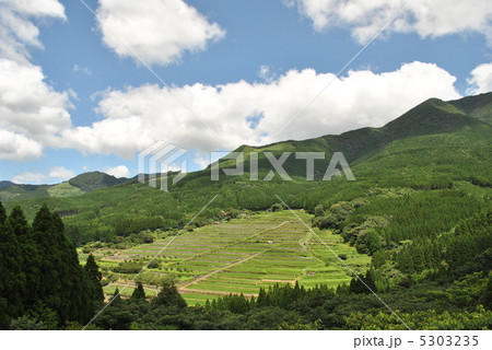 坂元棚田 5303235