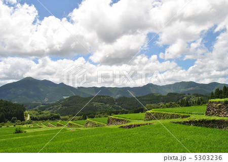 坂元棚田 5303236