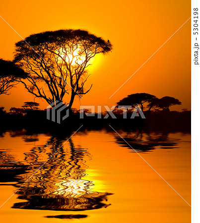 african sunset with reflection 5304198