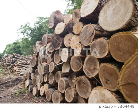 材木 材木 5304449