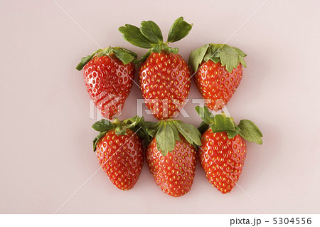 イチゴ 5304556