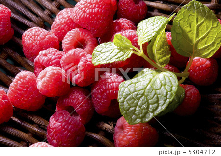 ラズベリー 5304712