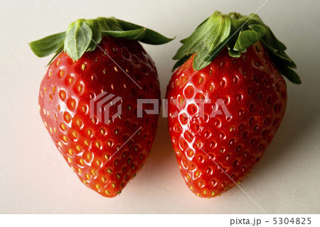 イチゴ イチゴ 5304825