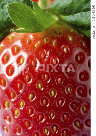 イチゴ 5304960